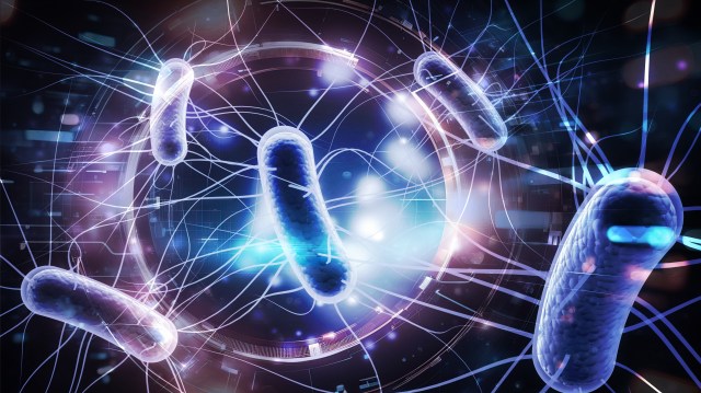 Ebeam 2025 Cambridge. ATS Ebeam event