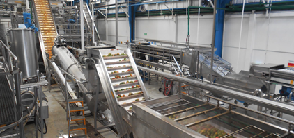 LINEA COMPLETA DI LAVORAZIONE DELLA FRUTTA